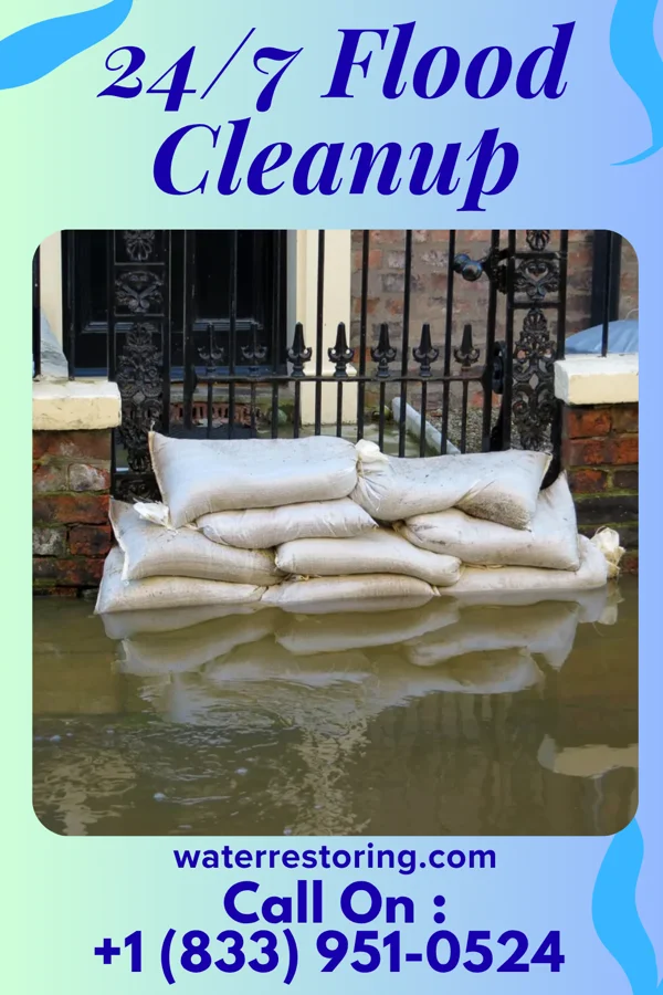 24/7 Flood Cleanup in Marion, MS