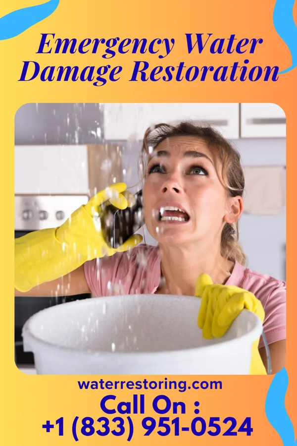 Emergency Water Damage Restoration in Marion, MS