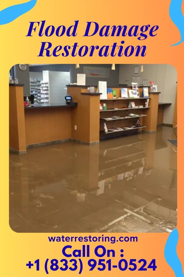 Flood Damage Restoration in Marion, MS