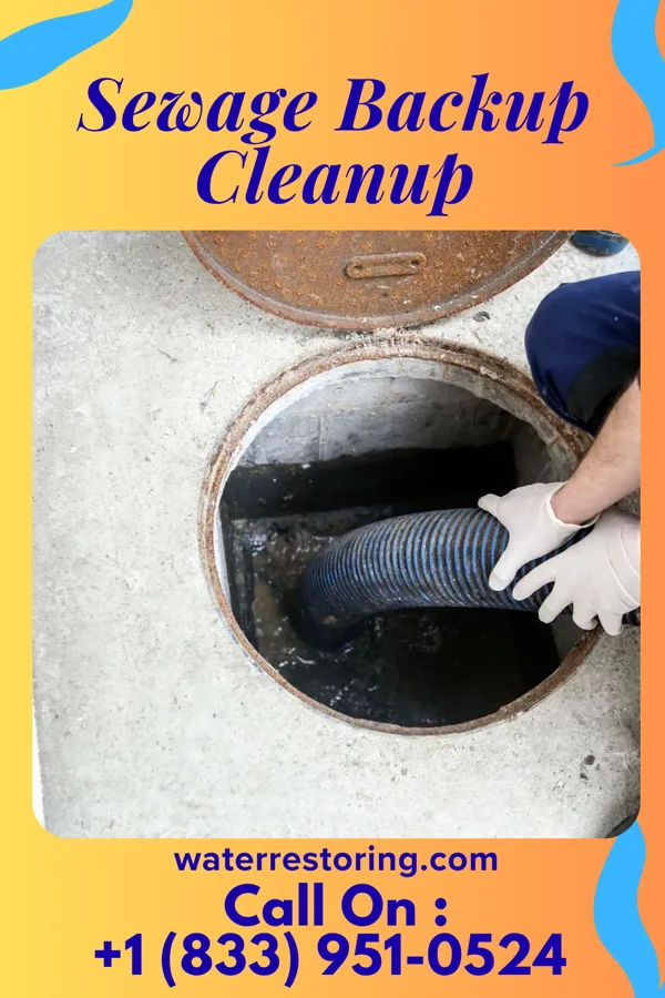 Sewage Backup Cleanup in Marion, MS